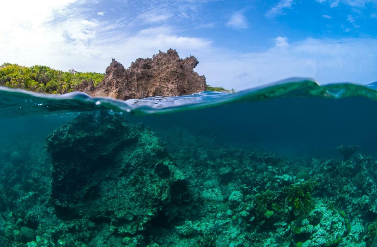 Mayan Princess Beach & Dive Resort Вест Бэй Экстерьер фото